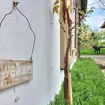 The River * Middelkerke